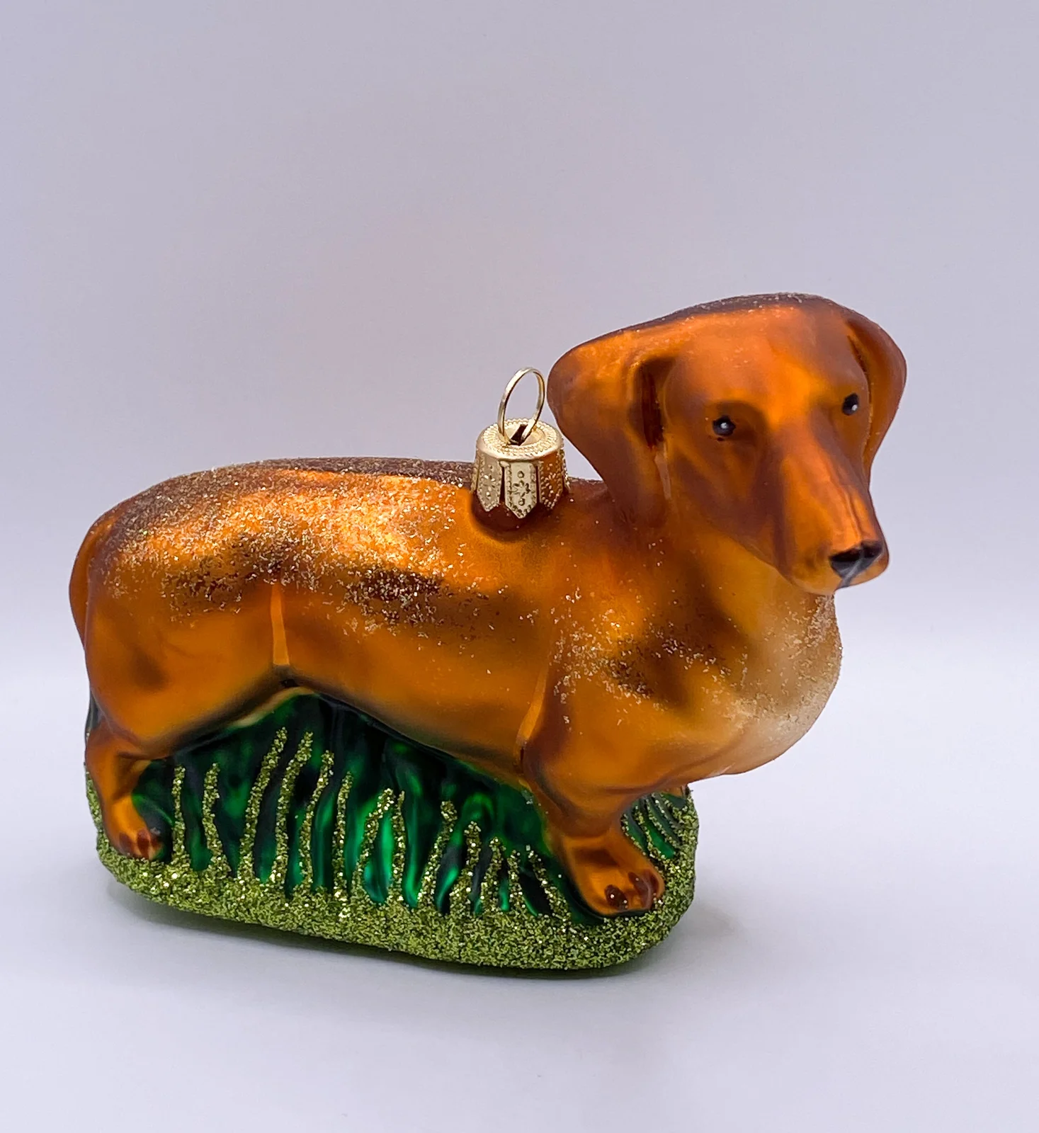 Impuls Brauner Dackel, Dachshund