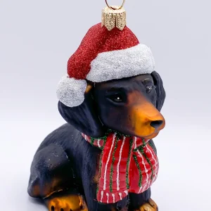 Impuls Schwarzer Dackel mit Schal und Weihnachtsmütze, Dachshund