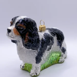 Impuls Cavalier King Charles Spaniel