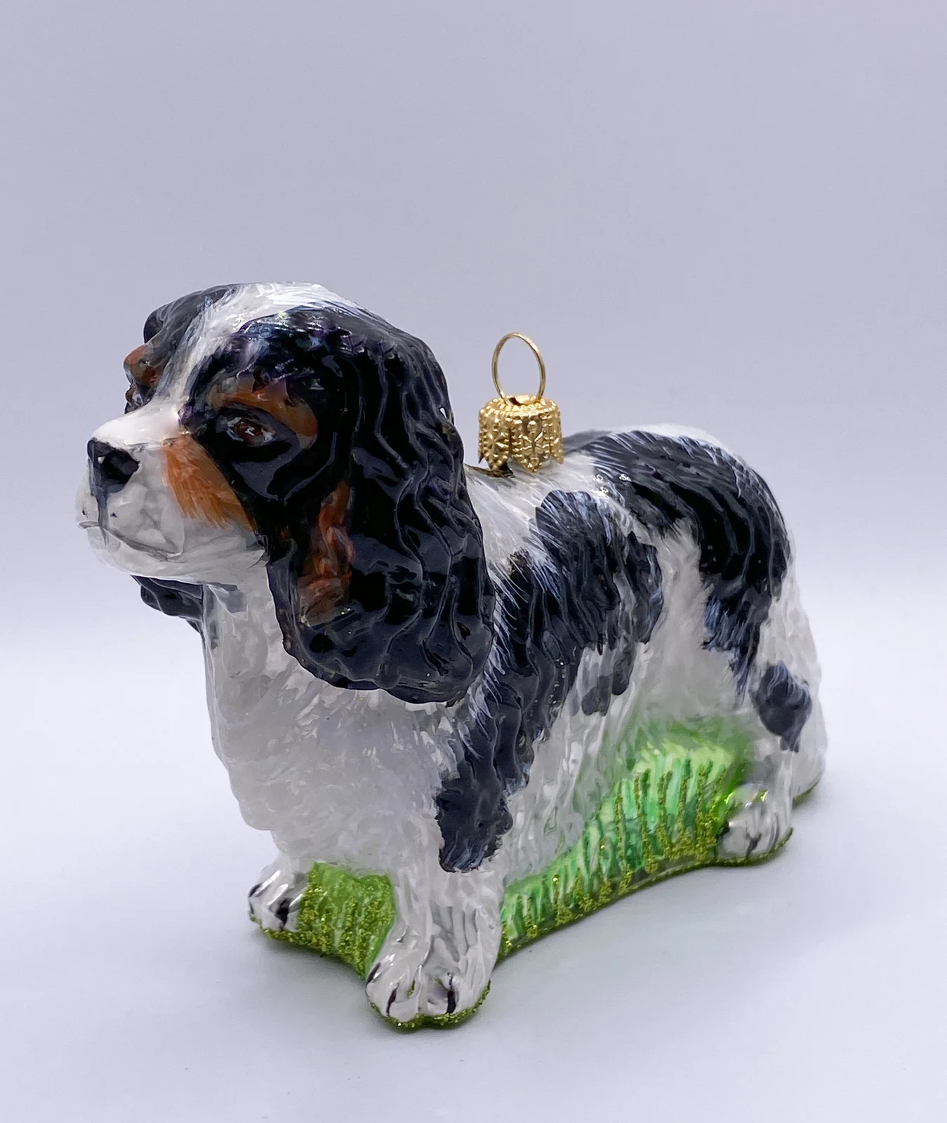 Impuls Cavalier King Charles Spaniel