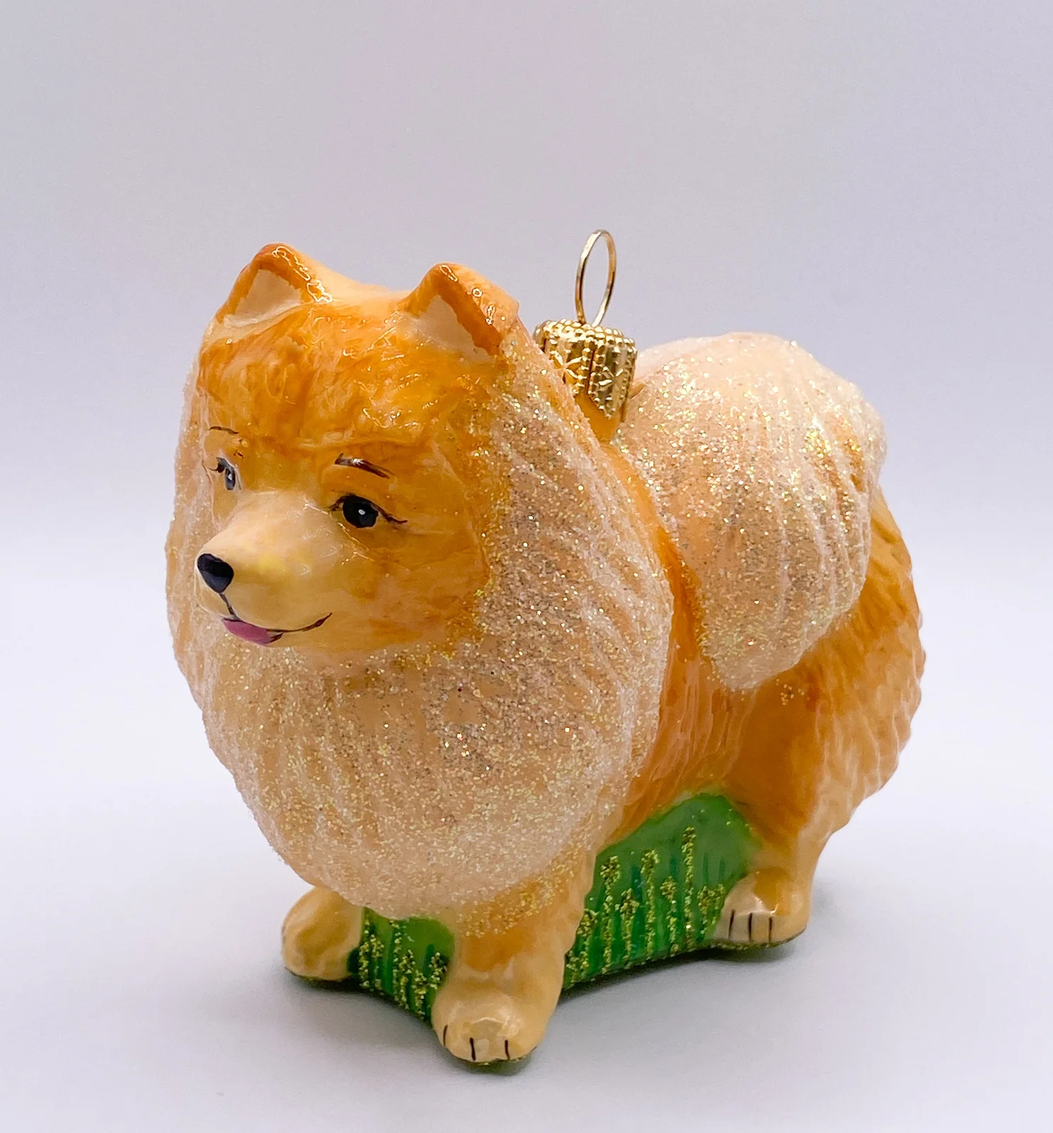 Impuls Zwergspitz, Pomeranian