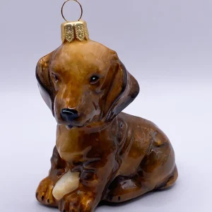 Komozja Hellbrauner Dackel, Dachshund, KOMOZJA MOSTOWSKI