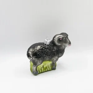 Hanco Schwarzer Widder, Schafbock