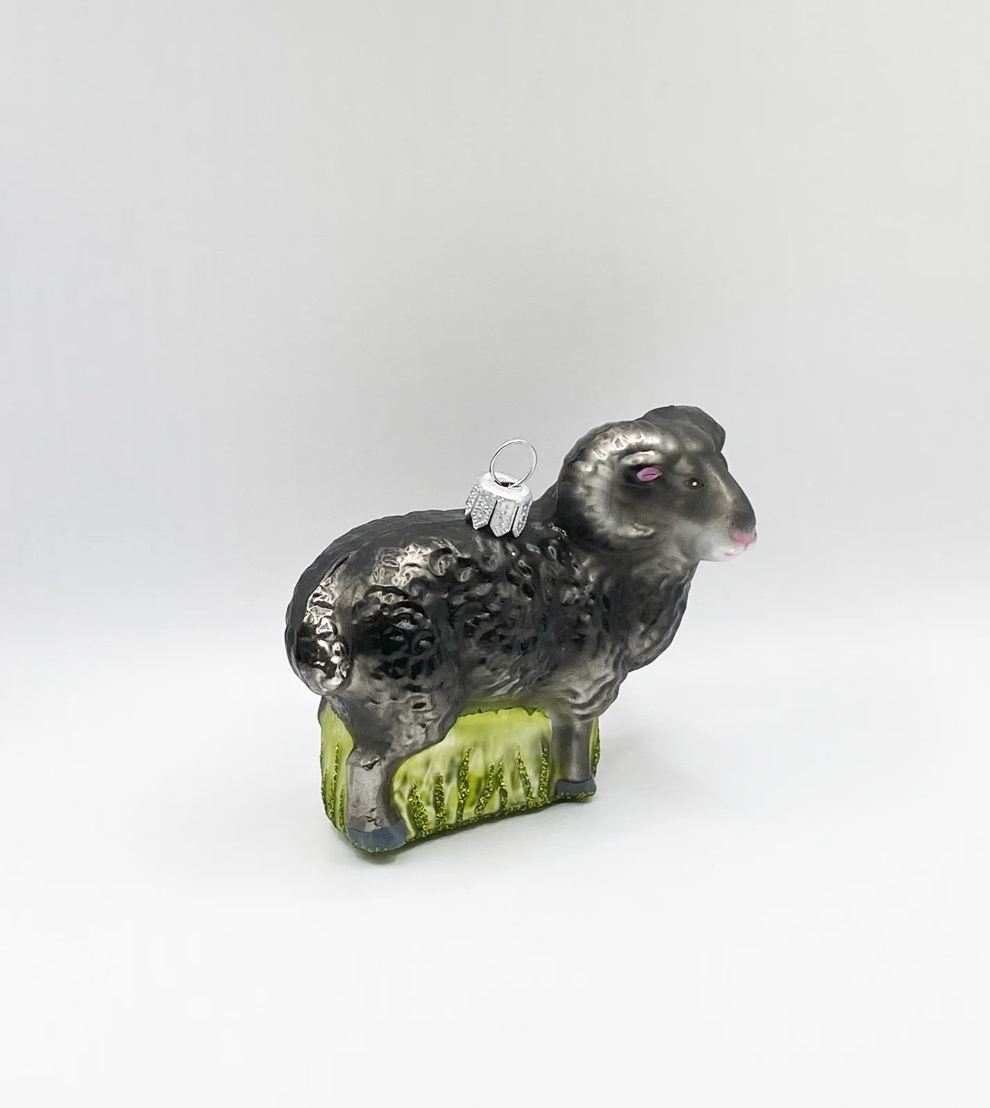Hanco Schwarzer Widder, Schafbock