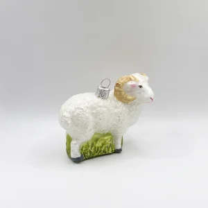 Hanco Weisser Widder, Schafbock