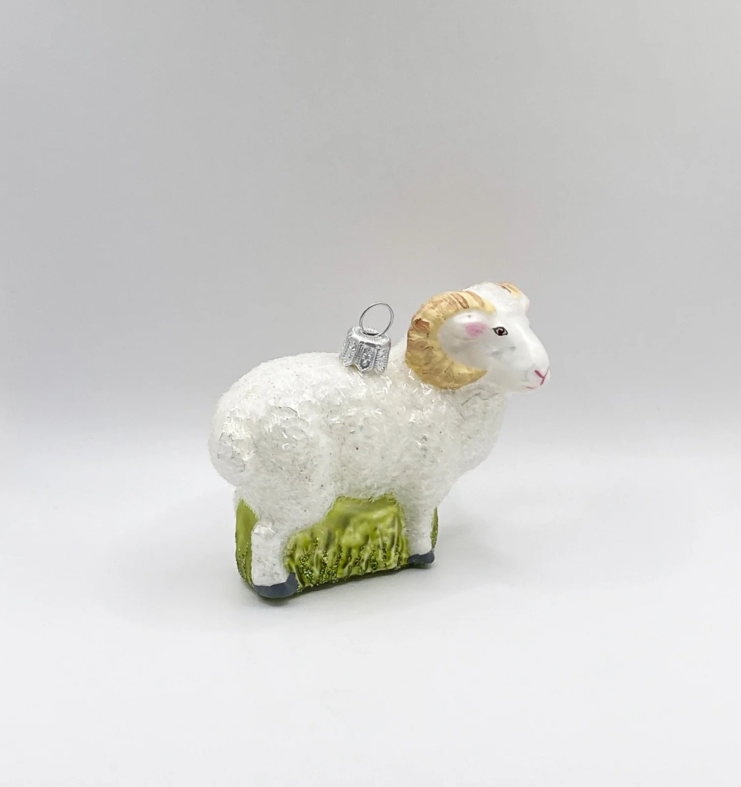 Hanco Weisser Widder, Schafbock