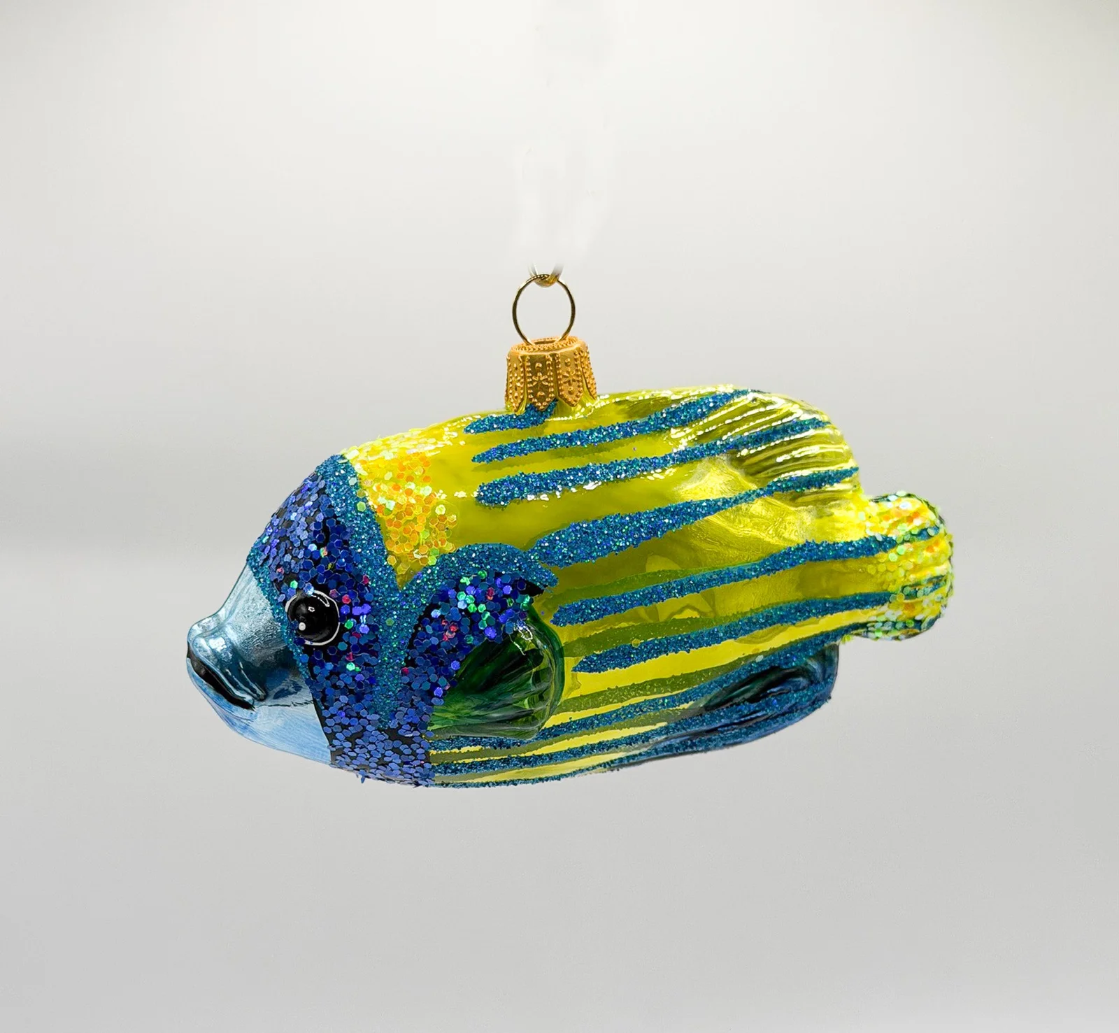 Impuls Blaukopf-Kaiserfisch Rifffisch