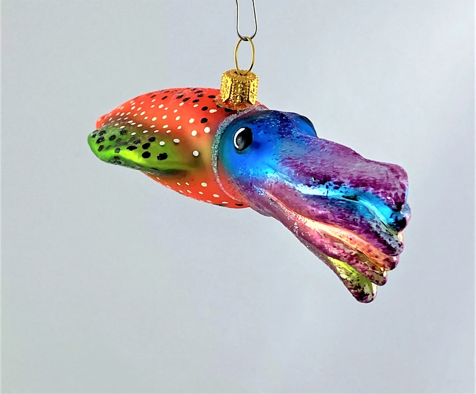 Impuls Bunter Tintenfisch