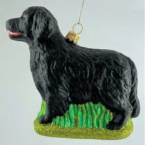 Impuls Flat Coated Retriever