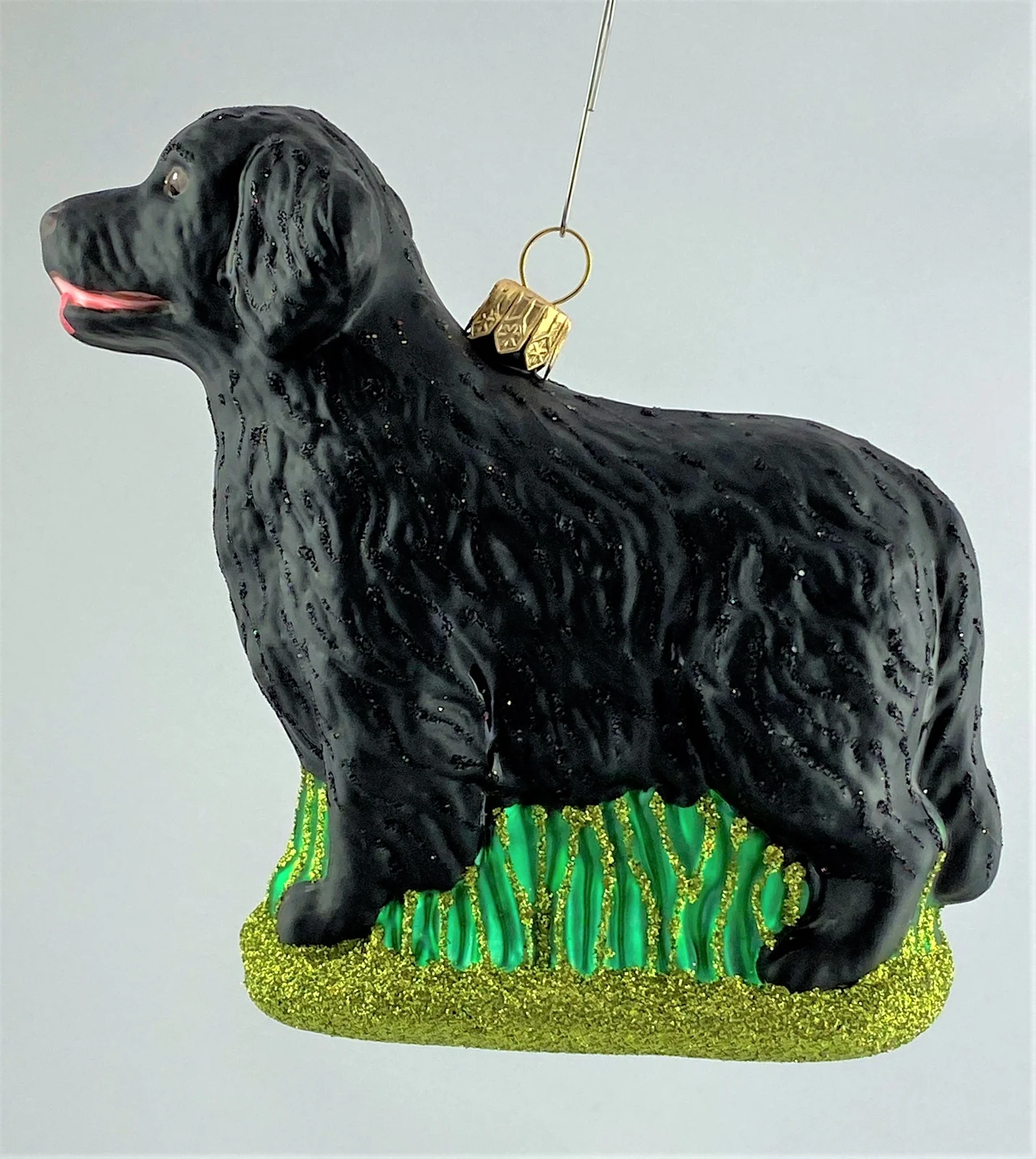 Impuls Flat Coated Retriever