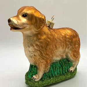 Impuls Golden Retriever