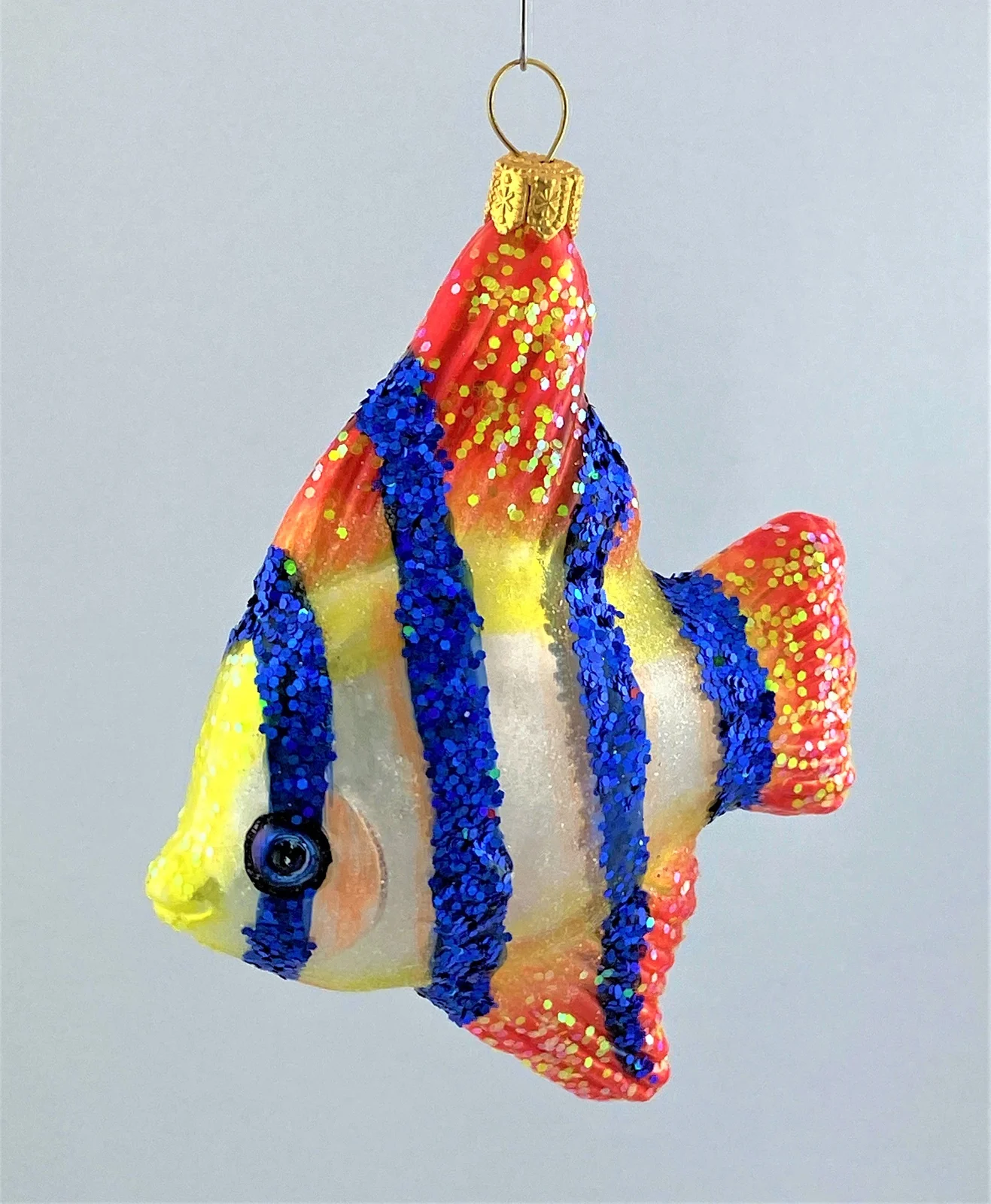 Impuls Skalar, Fisch