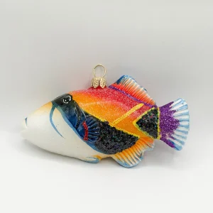 Impuls Diamant Picasso-Drückerfisch
