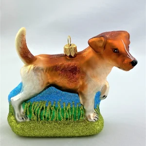 Impuls Jack Russell