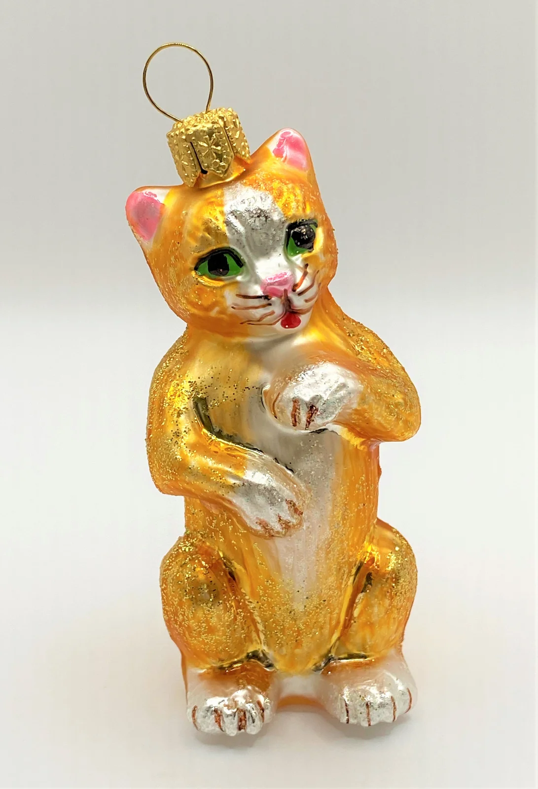 Impuls Stehende Katze
