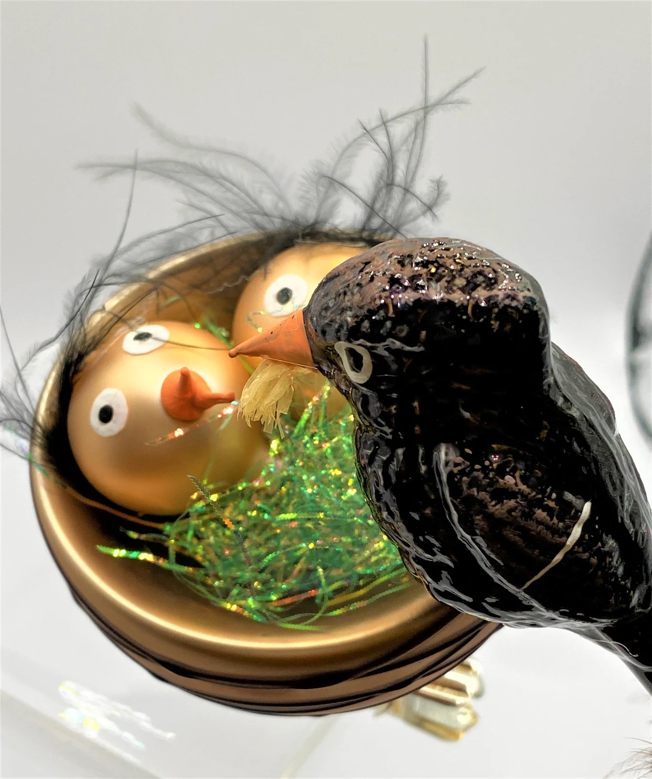 Ornex Die Amsel füttert die Jungen im Nest