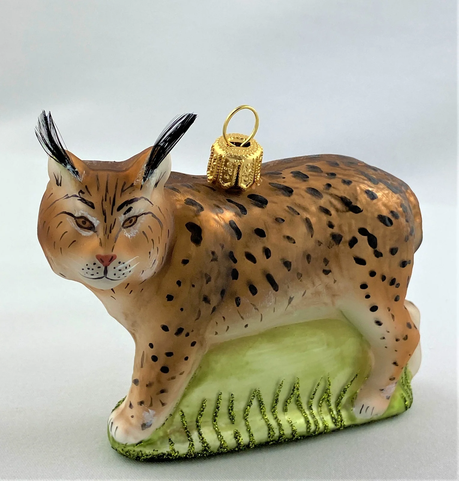 Hanco Luchs