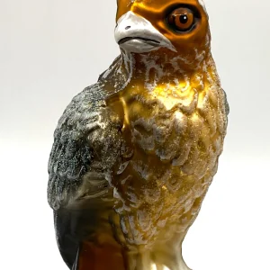 Impuls Rotschwanz Bussard