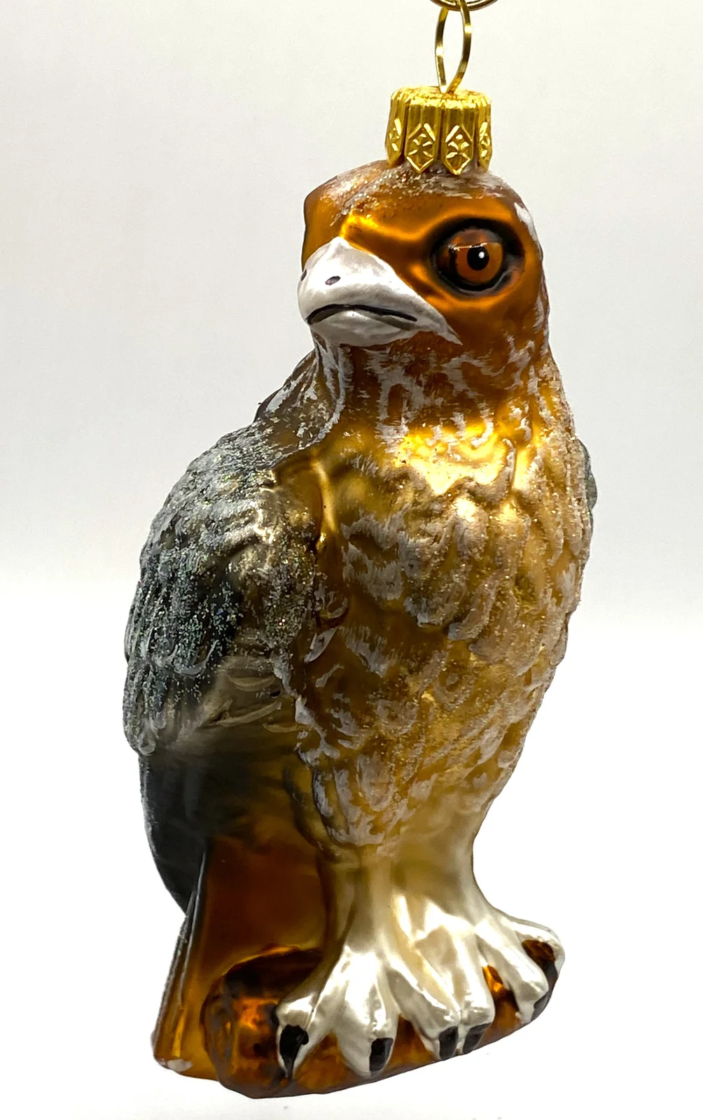 Impuls Rotschwanz Bussard