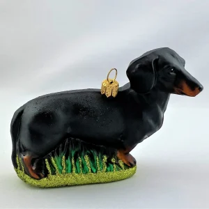 Impuls Schwarzer Dackel, Dachshund