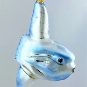 Impuls Mondfisch, Ocean Sunfish