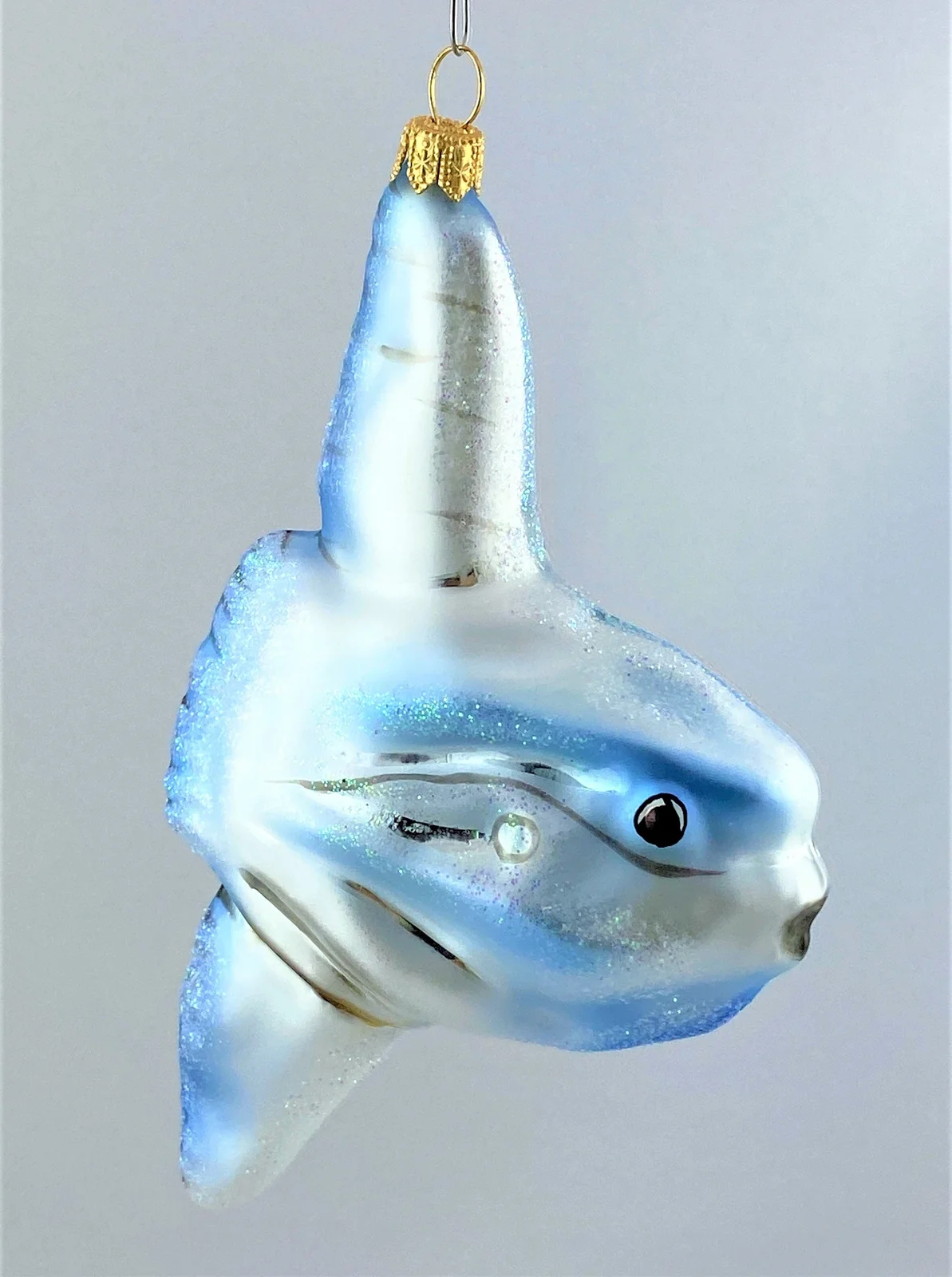 Impuls Mondfisch, Ocean Sunfish