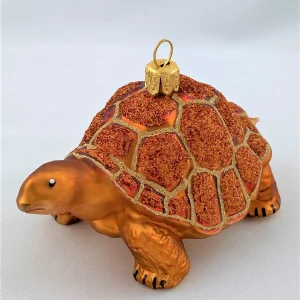 Impuls Galapagos Schildkröte