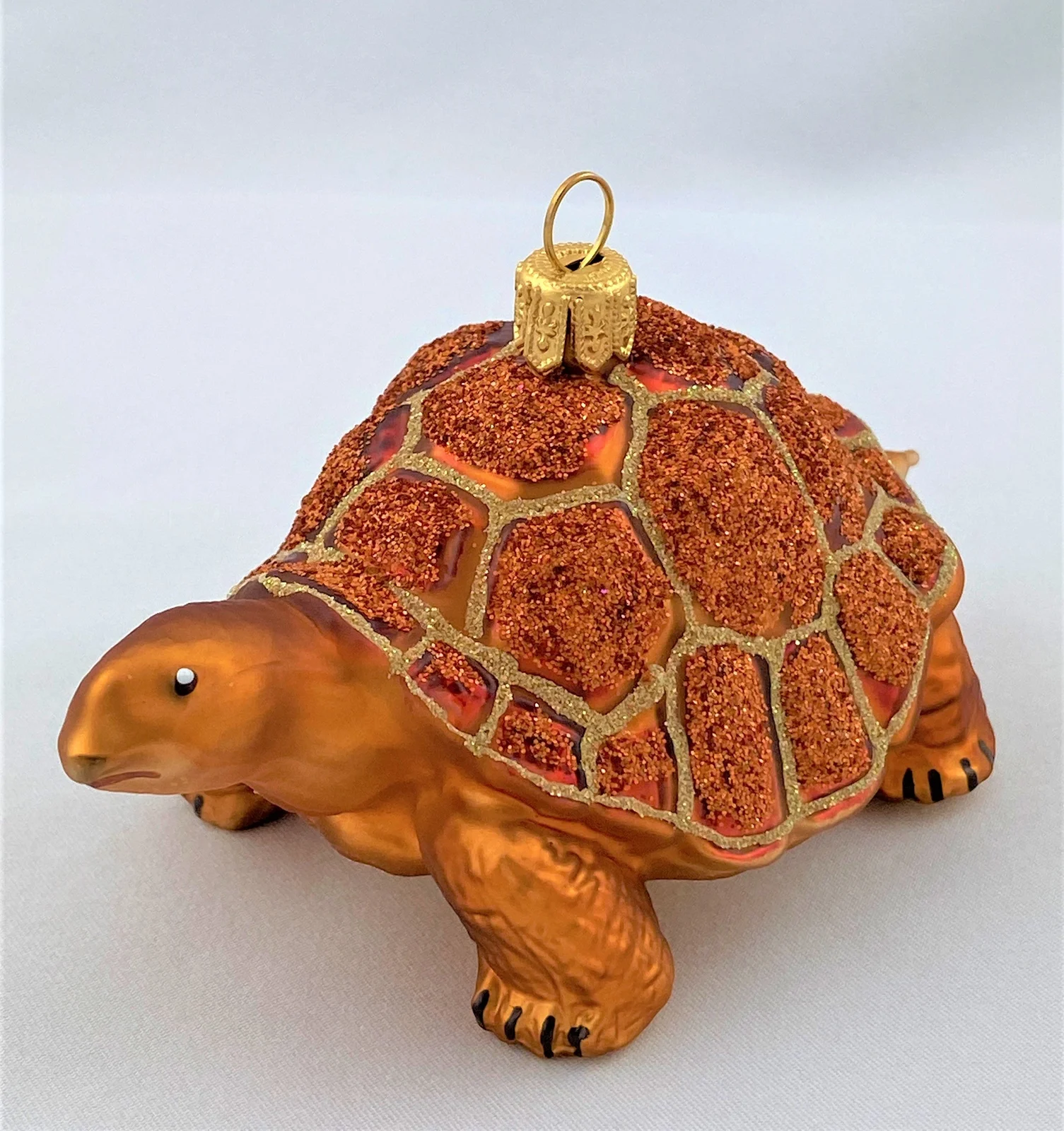 Impuls Galapagos Schildkröte