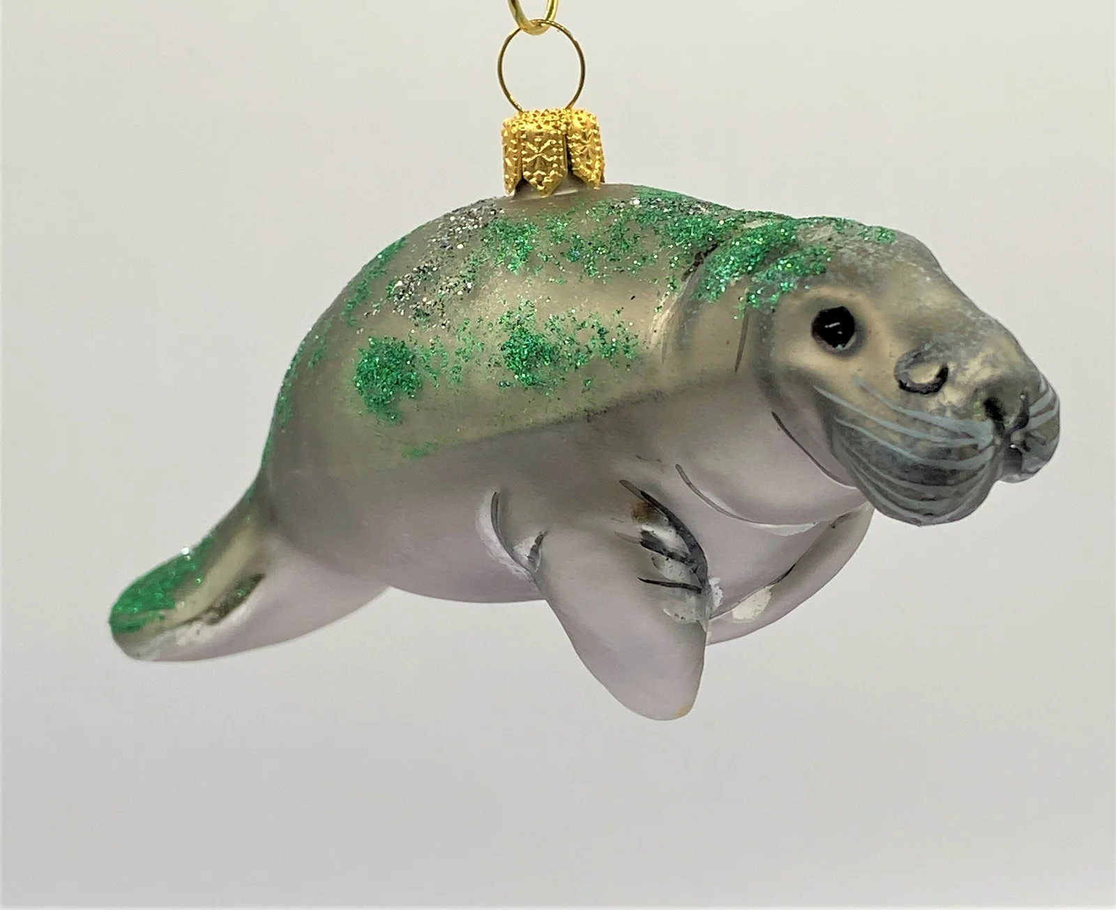 Impuls Rundschwanzseekuh, Manatee