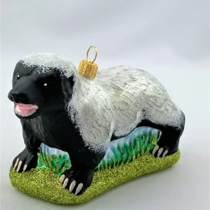 Impuls Honigdachs, Ratel