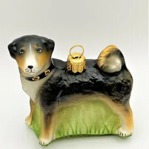Hanco Appenzeller Bless, Hütehund mit Halsband