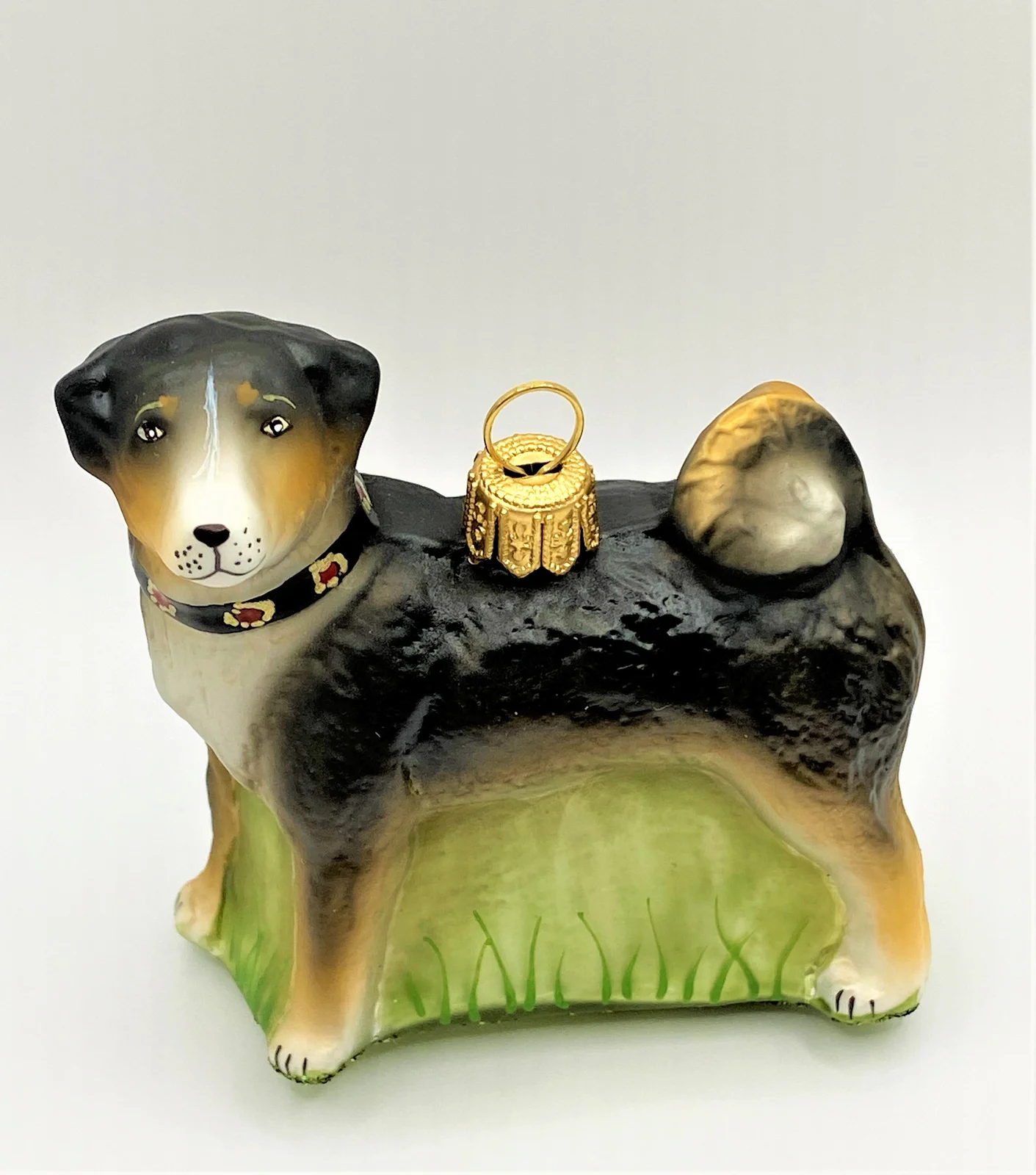 Hanco Appenzeller Bless, Hütehund mit Halsband