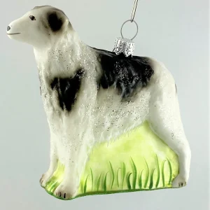 Hanco Schwarzer Barsoi, Russischer Jagd Windhund