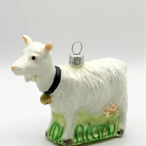 Hanco Appenzeller Ziege mit schwarzem Glockenriemen
