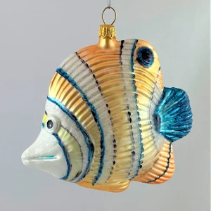 GMC Doktorfisch mit blauer Flosse