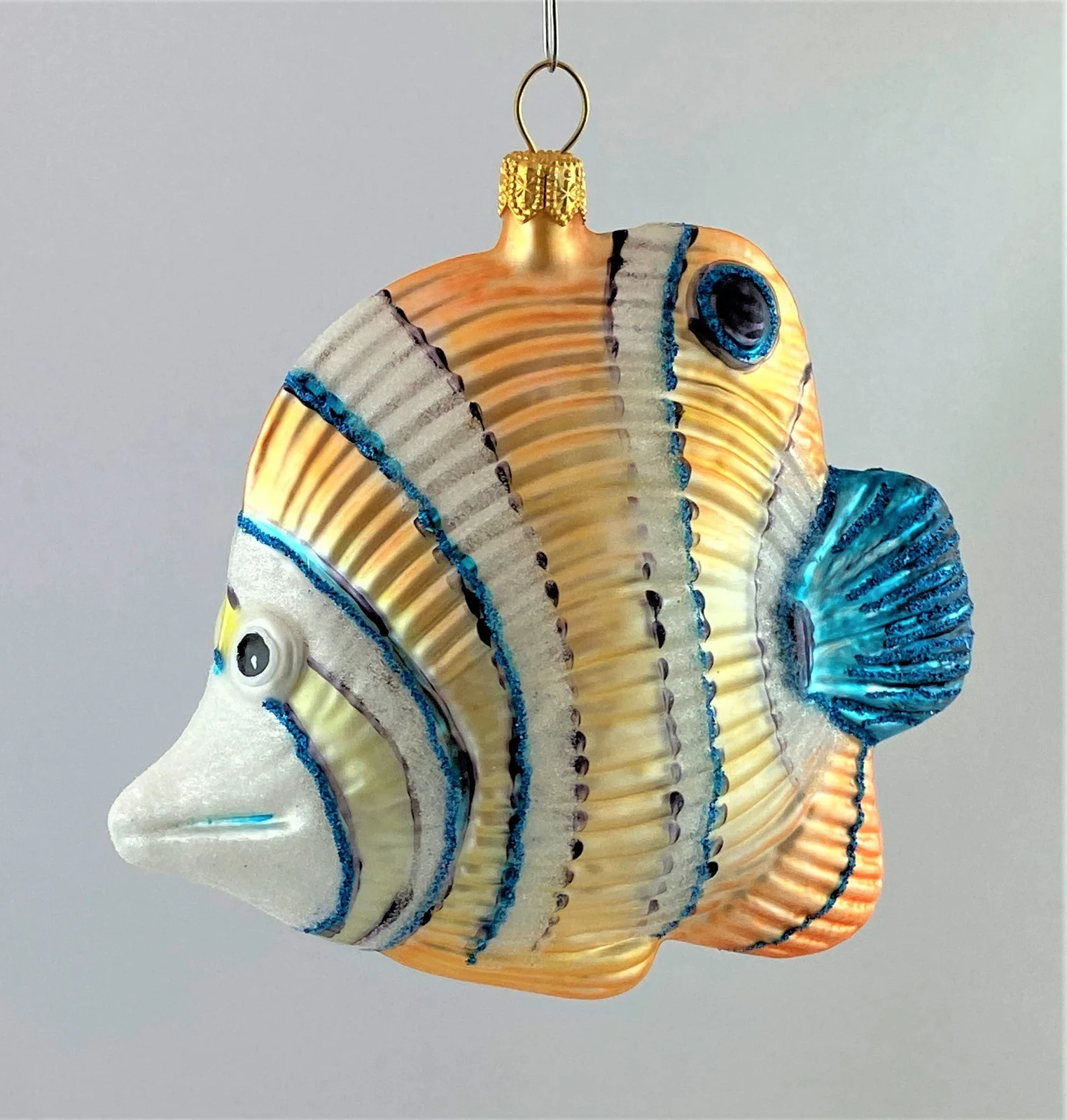 GMC Doktorfisch mit blauer Flosse