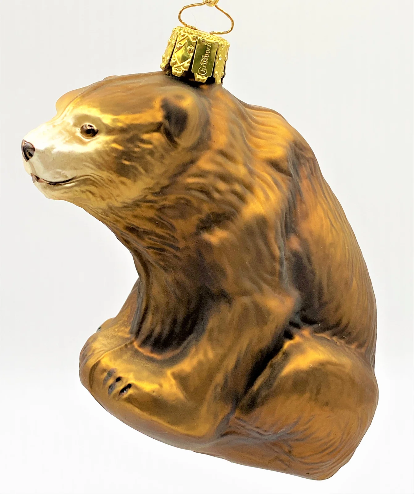 Christborn Sitzender Braunbär