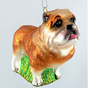 Impuls Bulldogge