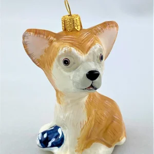 Komozja Chihuahua spielt mit Schuh, KOMOZJA MOSTOWSKI