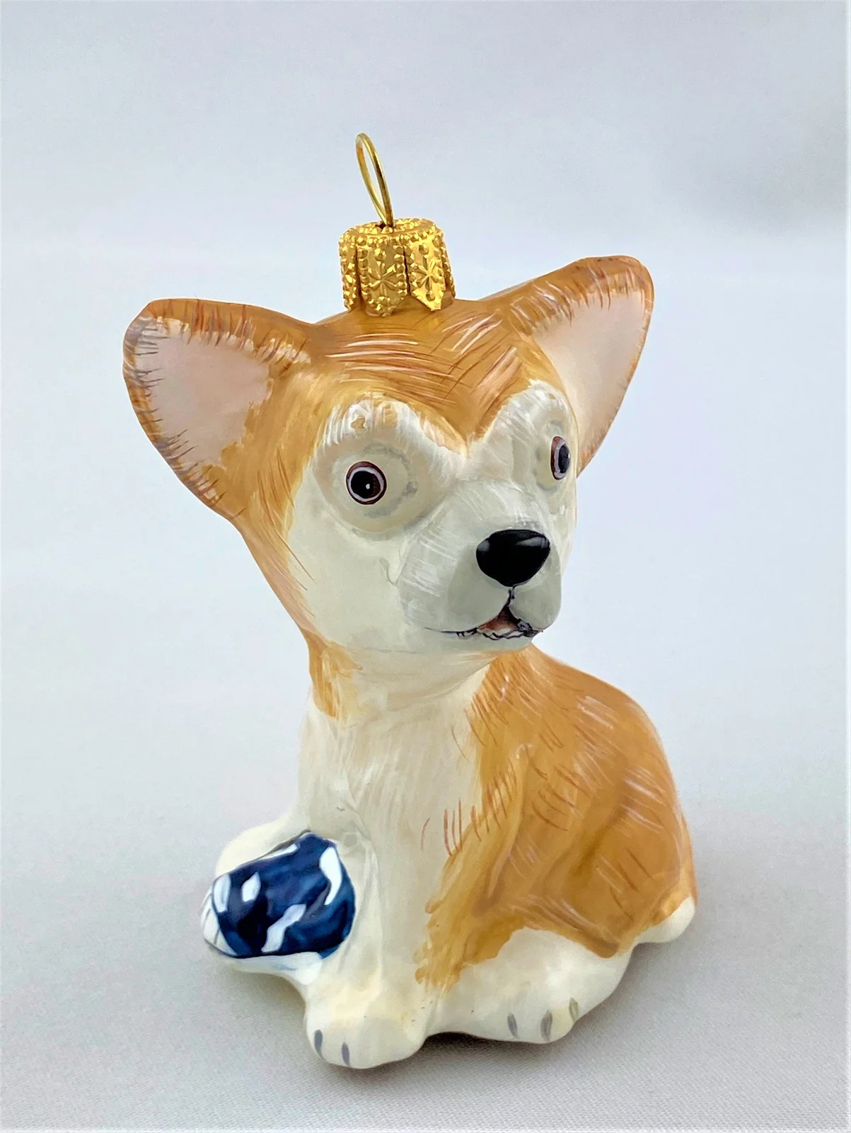 Komozja Chihuahua spielt mit Schuh, KOMOZJA MOSTOWSKI