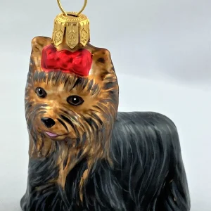 Hanco Skye Terrier mit roter Schleife