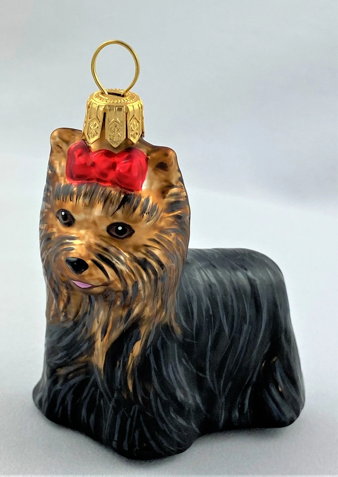 Hanco Skye Terrier mit roter Schleife