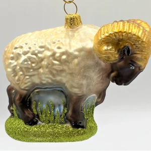 Impuls Widder, Mufflon