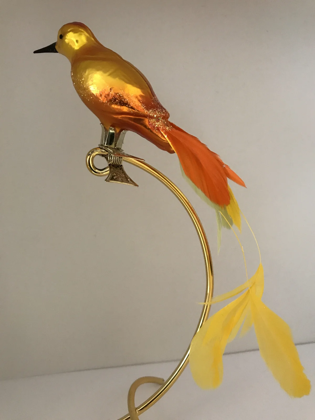 Hanco Geld oranger Paradiesvogel auf Clip