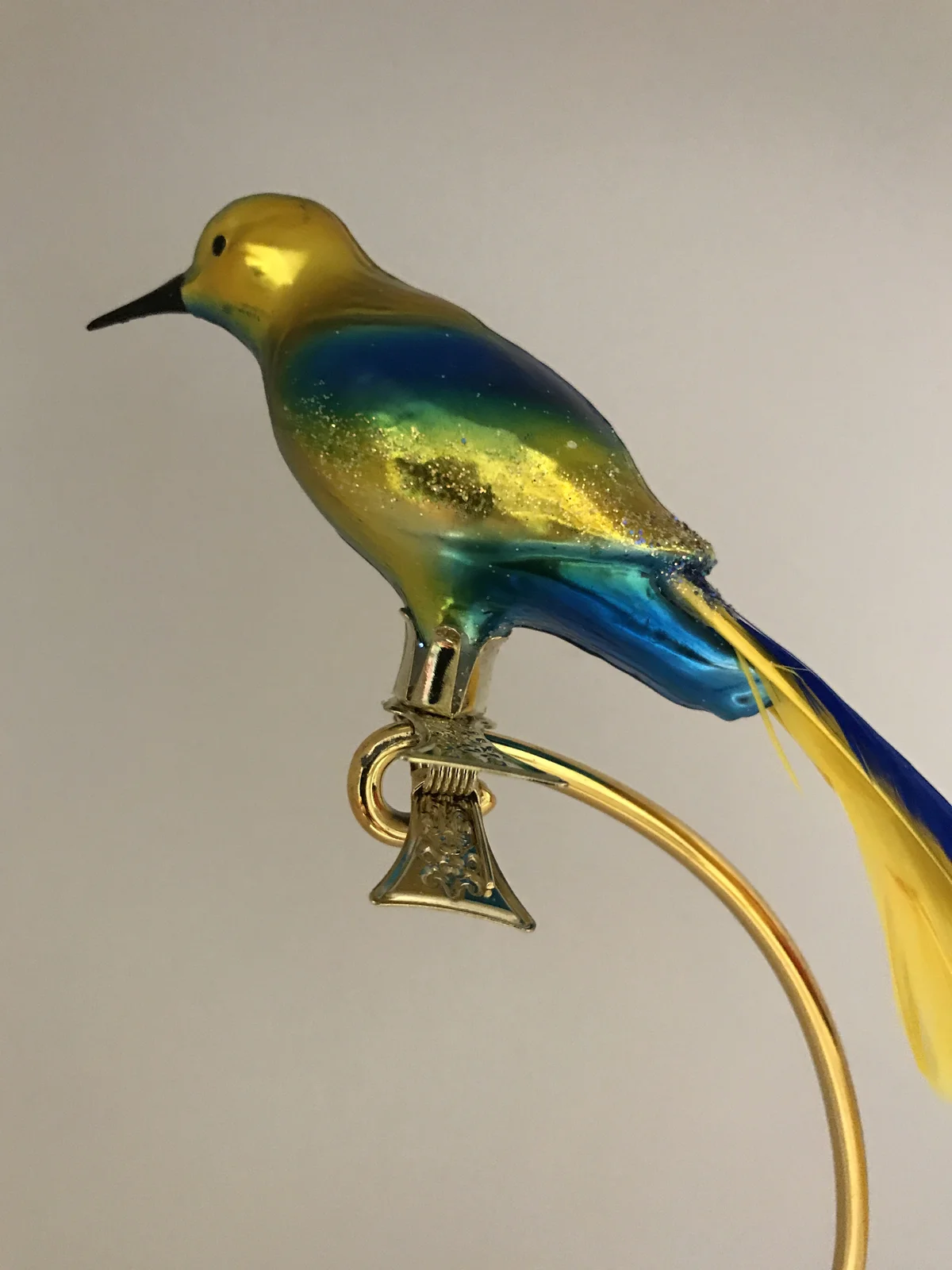 Hanco Gelb blauer Paradiesvogel auf Clip