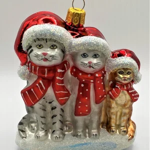 Hanco Katzenfamilie freut sich auf Weihnachten