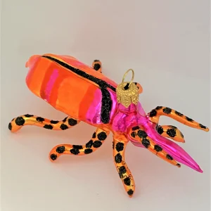 Wiktoria Käfer pink orange