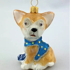 Komozja Chihuahua im Sternenmänteli, KOMOZJA MOSTOWSKI
