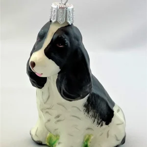 Hanco Schwarzweisser Spaniel