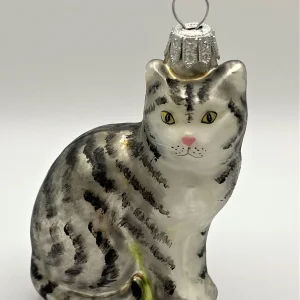 Hanco Graue Tiger-Katze mit weissem Bauch